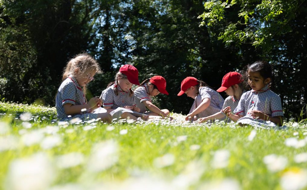 Thornton College Prep